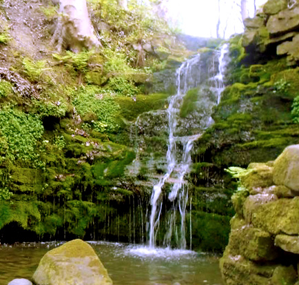 Walbottle Dene