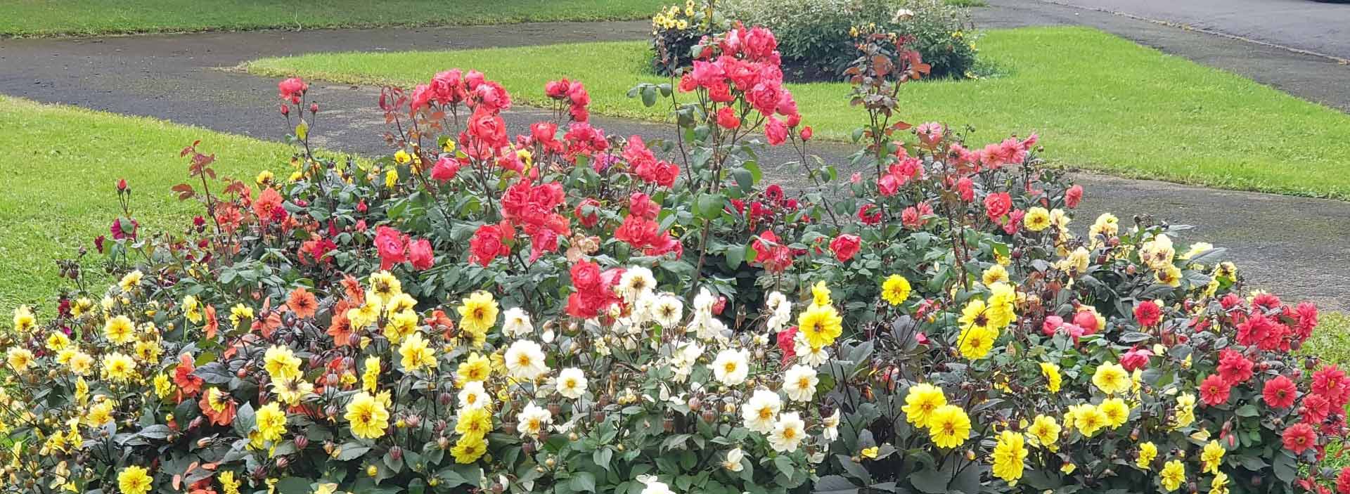 Walbottle Village gardening group