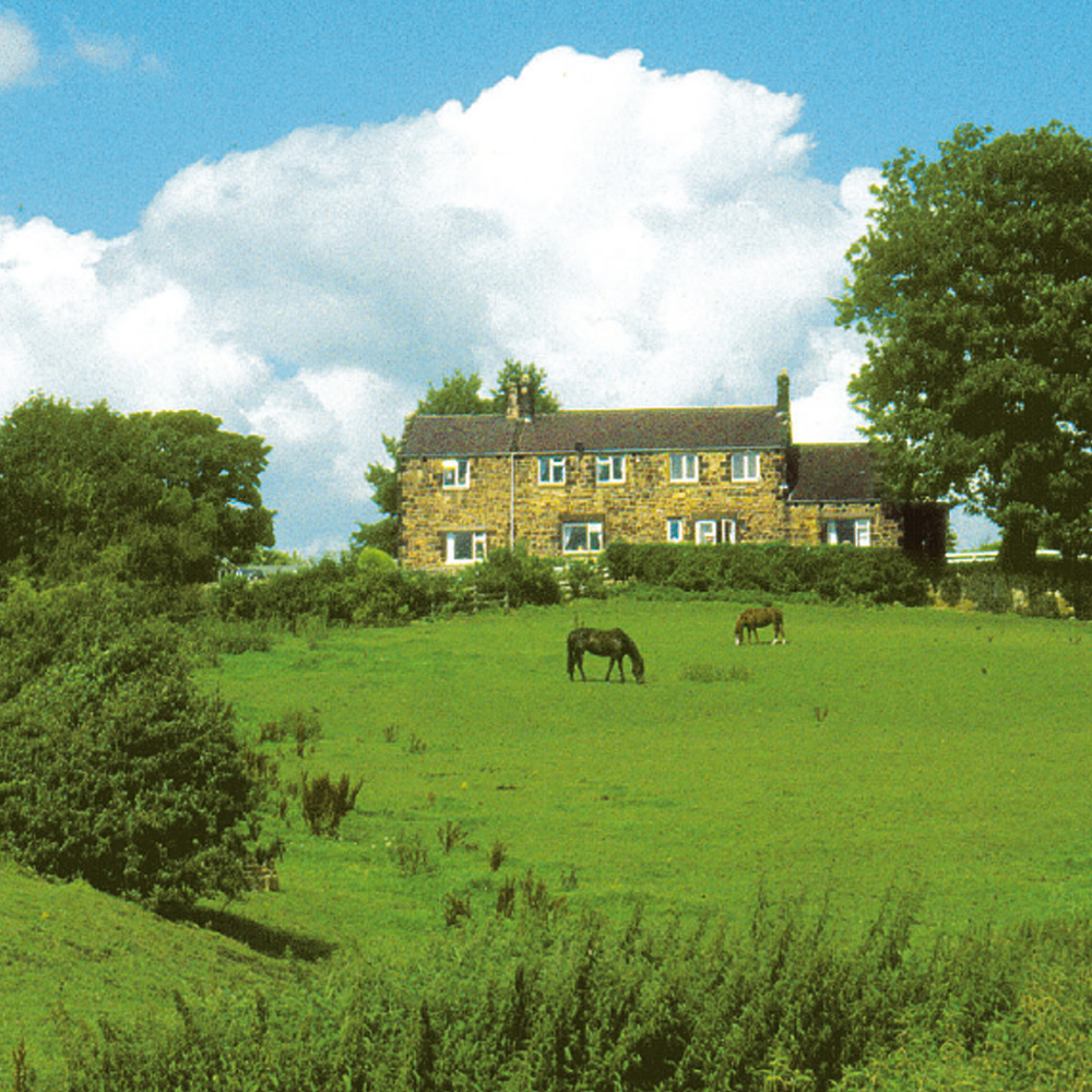 Walbottle Dene - Exploring Hadrian's Way